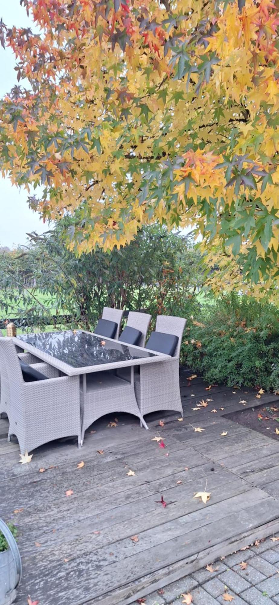 B&B De Raamberg Zundert Экстерьер фото