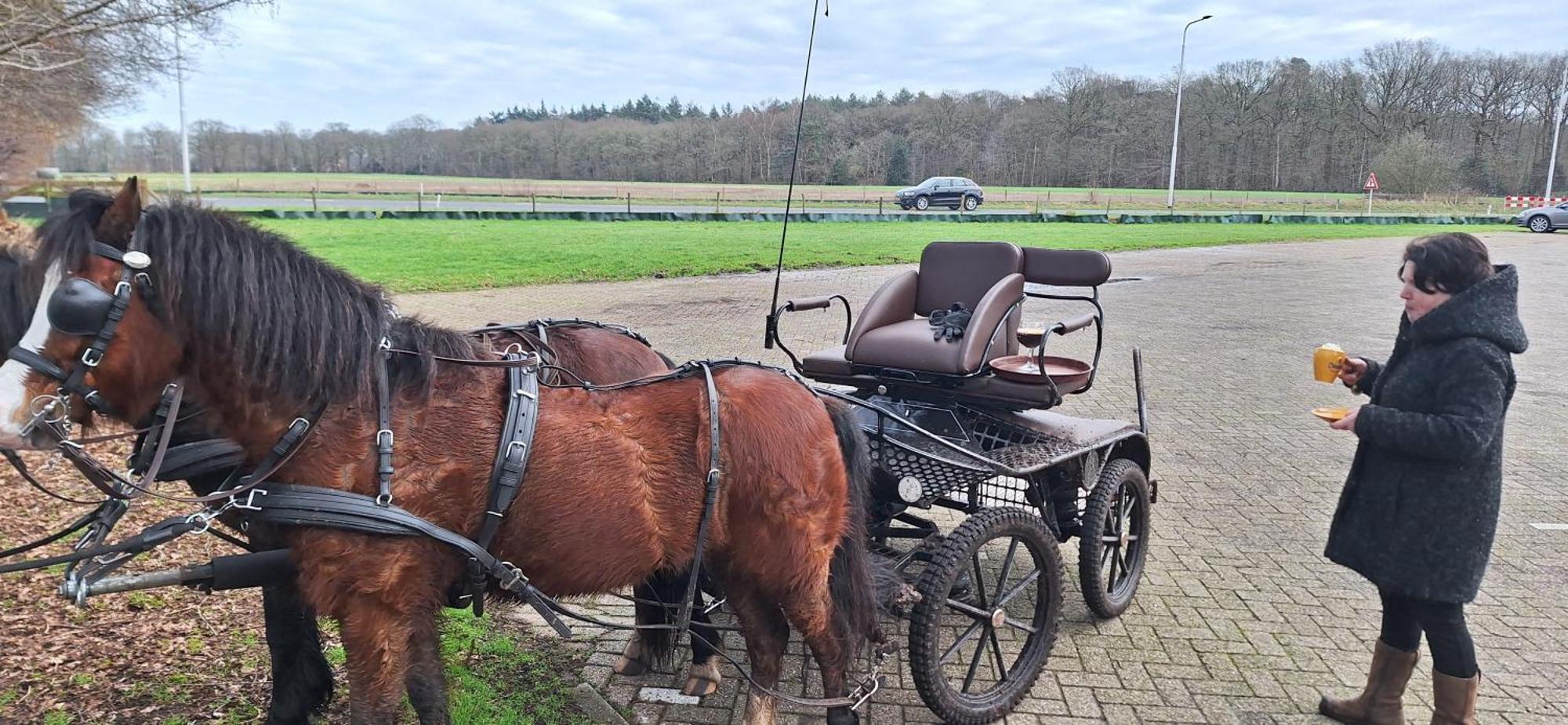 B&B De Raamberg Zundert Экстерьер фото